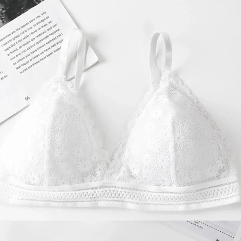 Lace Back Women Bra Set Without Steel Rims French Triangular Cup Comfortable Chest Covering Stretchable Skin Friendly Underwear