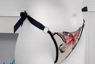 Butterfly Embroidery French Lace Bra Sheer Net Elastic Straps No Padding Romantic Womens Lingerie Set S-XL Soft Comfy