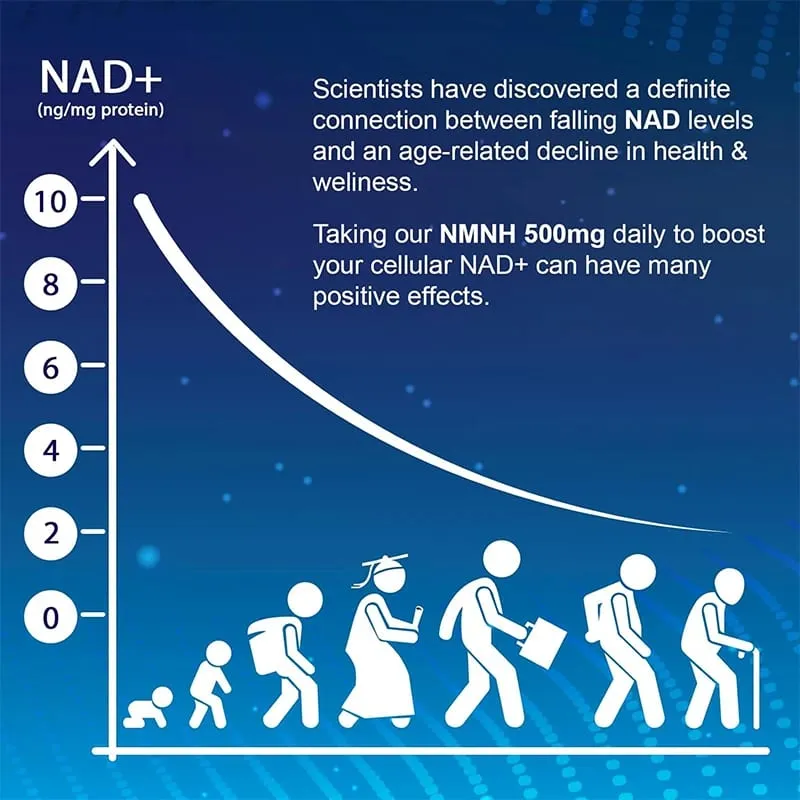 Natural NMNH Capsules Advanced High Absorption NMNH Support Immunity Cellular Repair & Skin Wellness for Adults