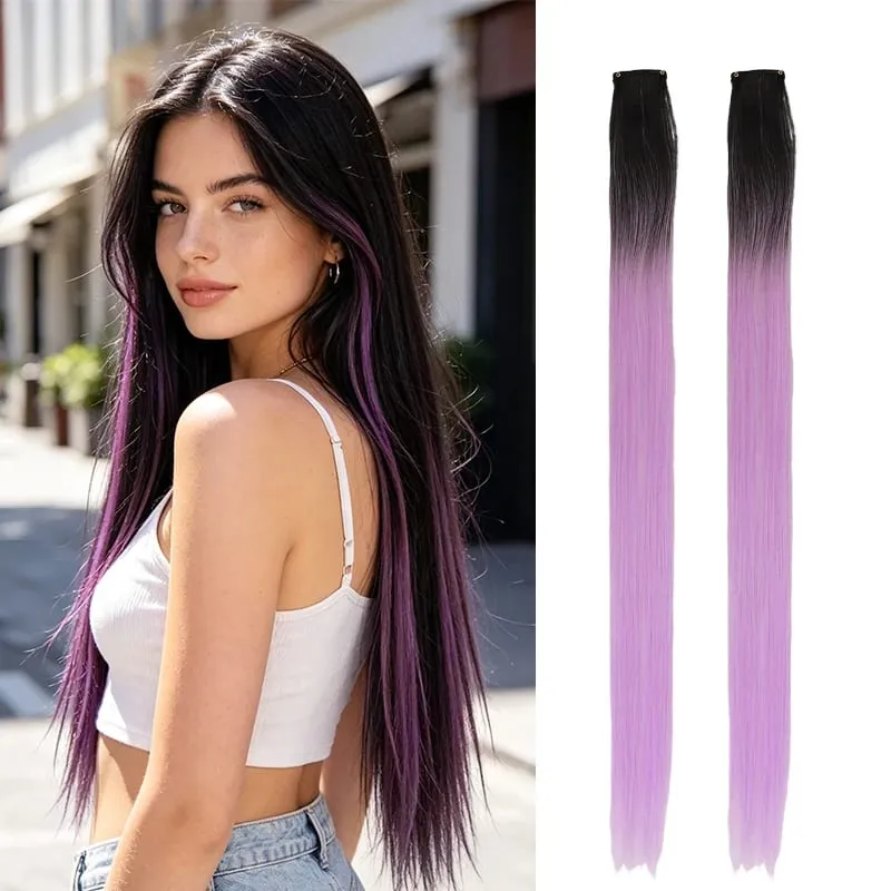 2Pcs Pack Two-Tone Ombre Highlight Clip in Wig Straight Hair Piece Synthetic Fiber Comb for Daily Party Look