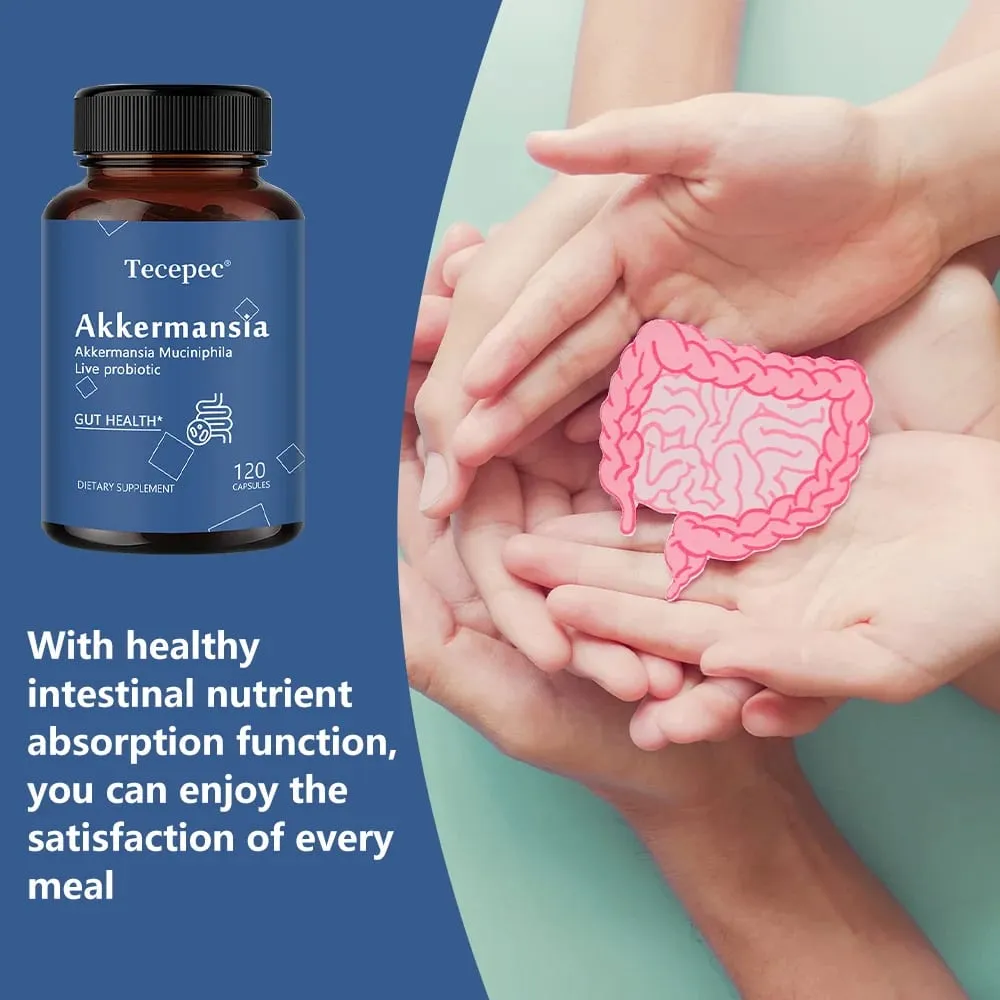 Akkermansia Muciniphila Probiotic Capsules 100MAFU - Prebiotic Inulin Supports Gut Lining Digestion & Intestinal Flora Balance
