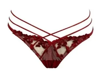Hot Sale Summer Lace Embroidery Cross Tie Lingerie Set Sheer Mesh Push Up Bra Comfort Daily Wear Underwear Set for Women 32-38