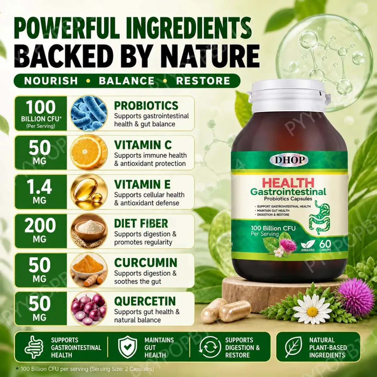 Gastrointestinal Probiotics Capsules Support Gut Health with Vitamin C and Vitamin E Diet Fiber 100 Billion CFU 60 Capsules