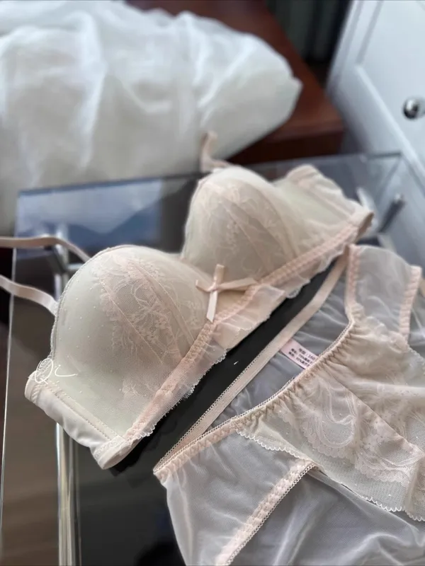 Victorian Inspired Demi Bra & Knicker Set | Sheer Mesh Lace Push Up for Small Bust Anti-Sagging | Luxury Lingerie MOYISU Panty