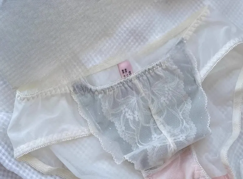 Victorian Inspired Demi Bra & Knicker Set | Sheer Mesh Lace Push Up for Small Bust Anti-Sagging | Luxury Lingerie MOYISU Panty