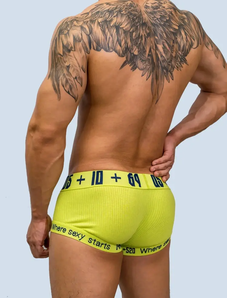 Male Underwear Gay Underpants Boxer Ropa Interior Hombre Cueca Masculina Solid Boxer Homme Underwear Boxer Para Hombre Bielizna