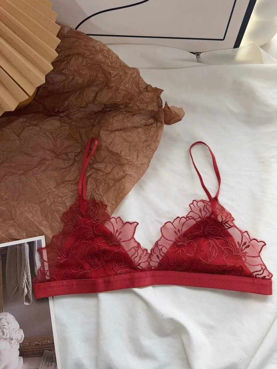 Women Lingerie Set French Luxury Lace Push Up No Wire Bra and Panty Set Breathable Ultra Thin Comfort Gather Underwear Clothing