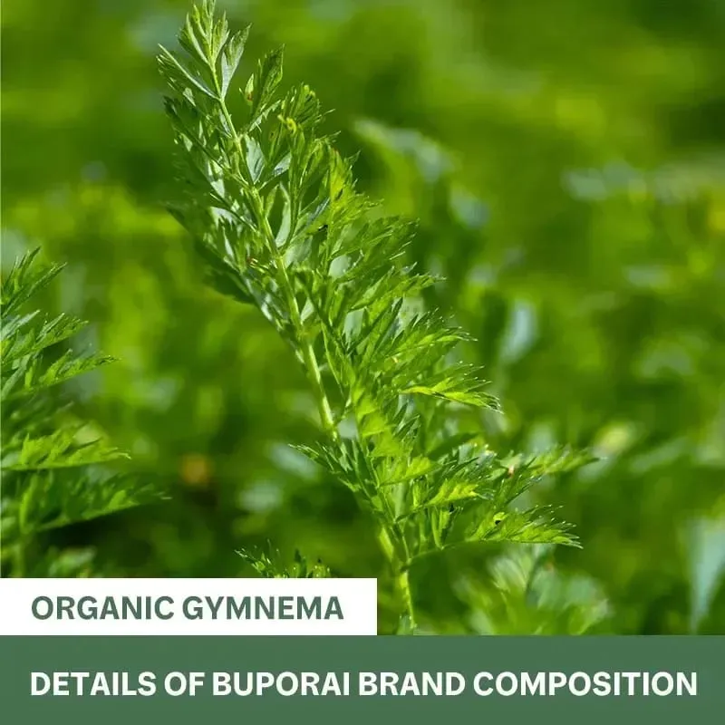Organic Gymnema - Supports Balanced Glucose Metabolism and Energy Health Enhances Absorption and Provides Nutritional Support