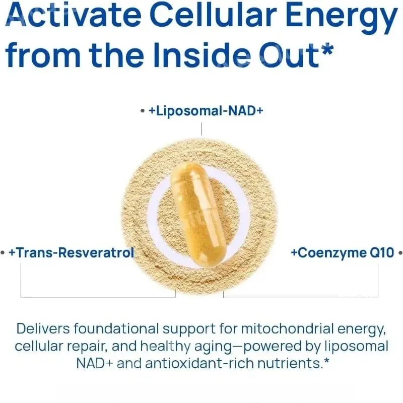NAD+-Kapsel für Männer mit Resveratrol, CoQ10 und Zink, Nahrungsergänzung, Zellenergie, antioxidative Unterstützung, 60 Stück pro Flasche