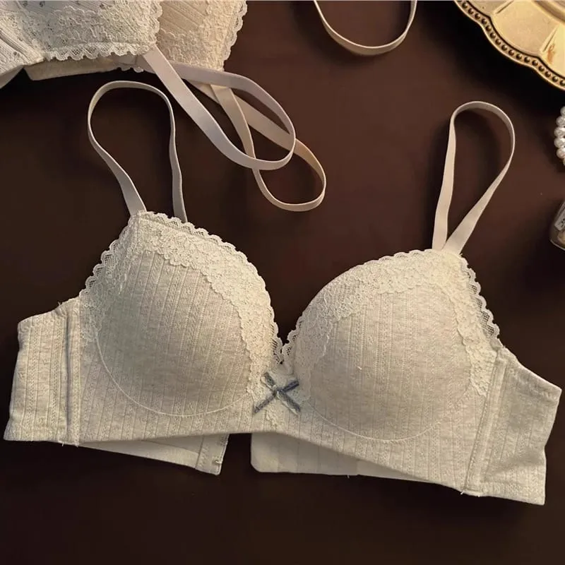 Sexy Lace Floral Bra Set Comfortable Non-steel Ring Beauty Back Small Breasts Gathered Up Support Anti-sagging Teenage Bra Set