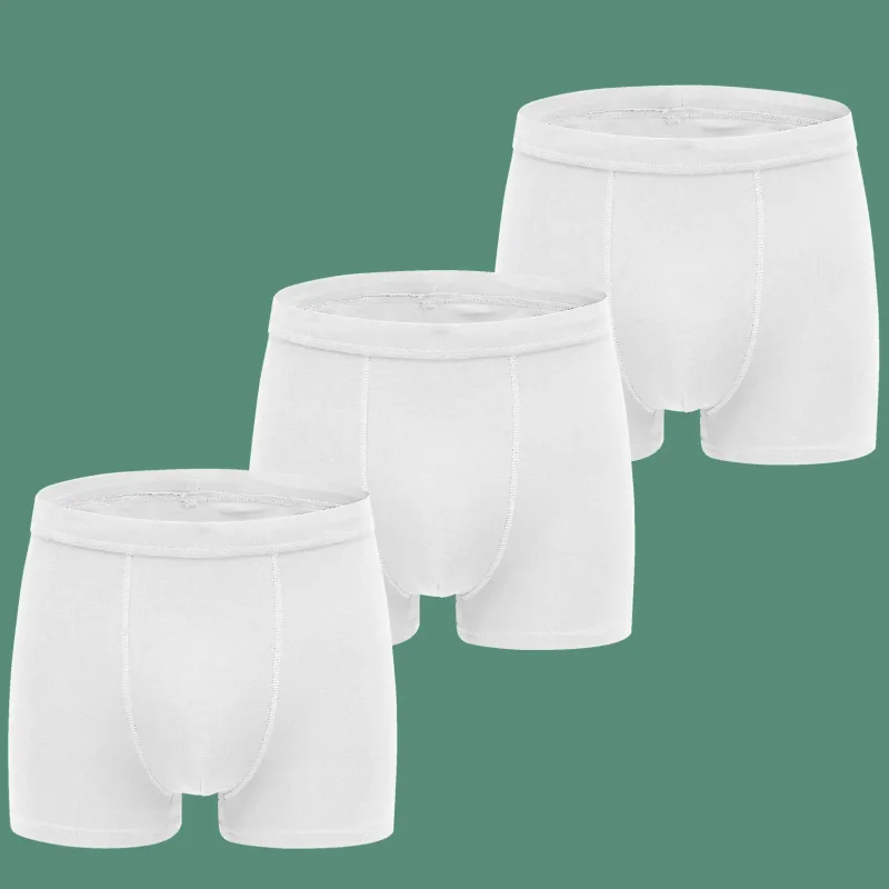 1pc/3pcs Set Men's Underwear Cotton Boxers Shorts U Pouch Panties Boy's Underpants Male Youth Clothing Homme Luxury Underware