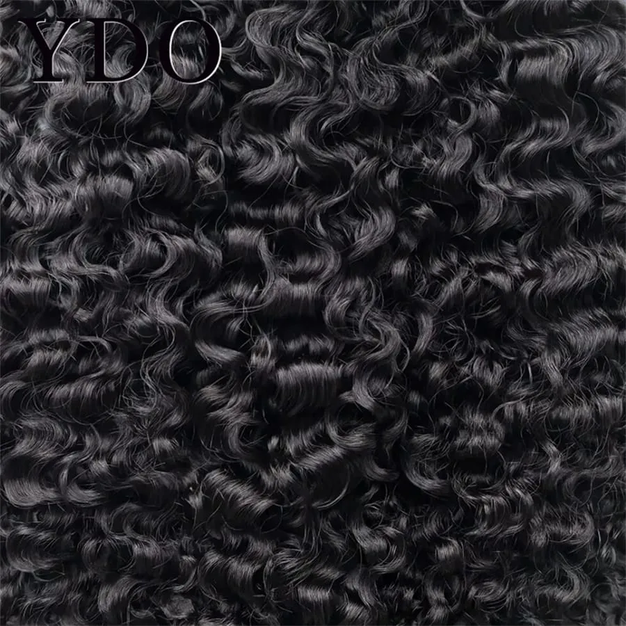 Kinky Curly Seamless Clip Ins Human Hair PU Clip In Hair Extensions For Black Women Afro Deep Curly Clip In Hair Extensions