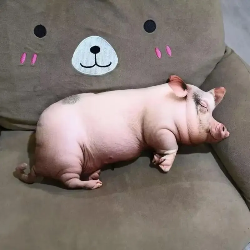 Durable Realistic Sleeping Pig Plush Toy Fluffy Cotton Stuffed Throw Pillow for Car Couch Home Decor Kids Gift