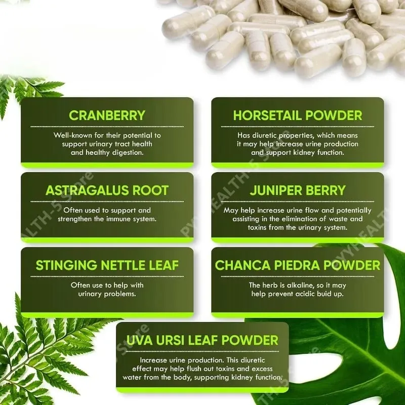 Kidney Cleanse Detox Capsules Bladder Urinary Support with Chanca Piedra Cranberry Juniper Berries Vegetable Capsule 60 Counts — image 4