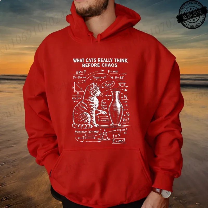 Funny Cat Physics Design Hoodies Math Science Humor Cat Print Sweatshirt Personalized Men Women Casual Streetwear Fashion Hoodie
