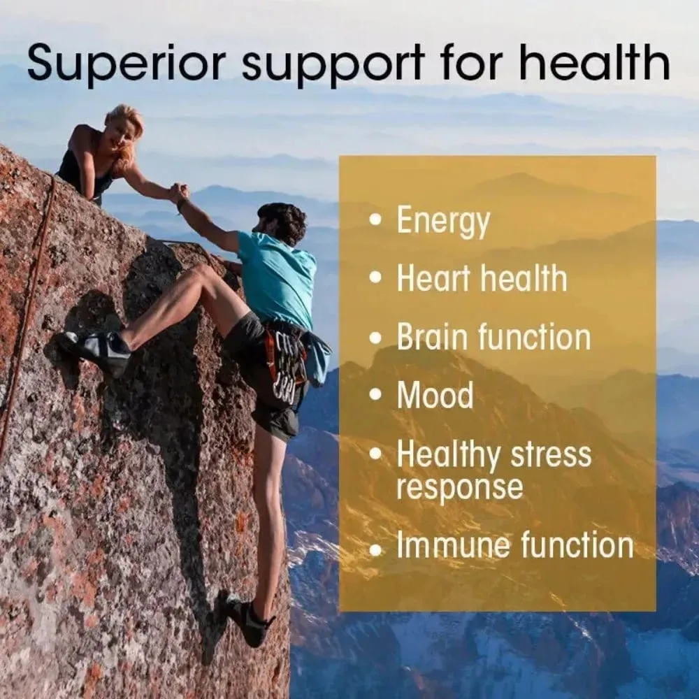 Vitamin B Complex - Contains All B Vitamins Supports Immune Health & Energy Production Nervous System Support