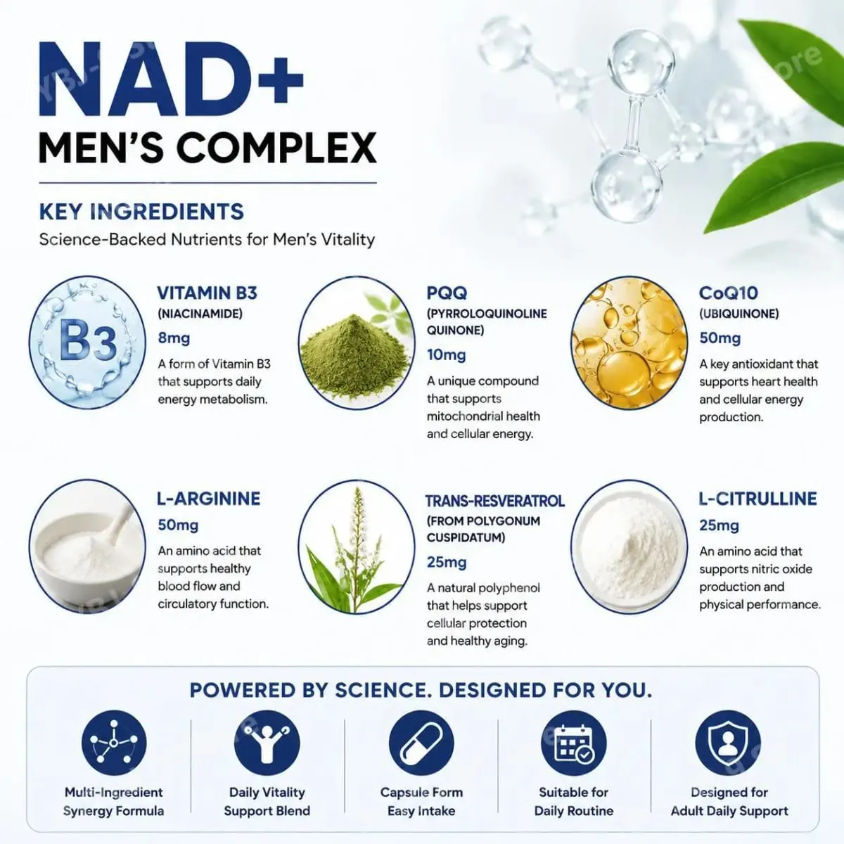 Docteat NAD+ Men's Complex Capsules for Daily Energy Metabolism and Circulatory Support Male Vitality Balance 60 Capsules