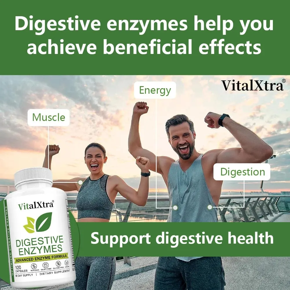 Digestive Enzymes Capsules - Most Essential Digestive Enzymes (Amylase Lipase Bromelain Lactase Cellulase Invertase)
