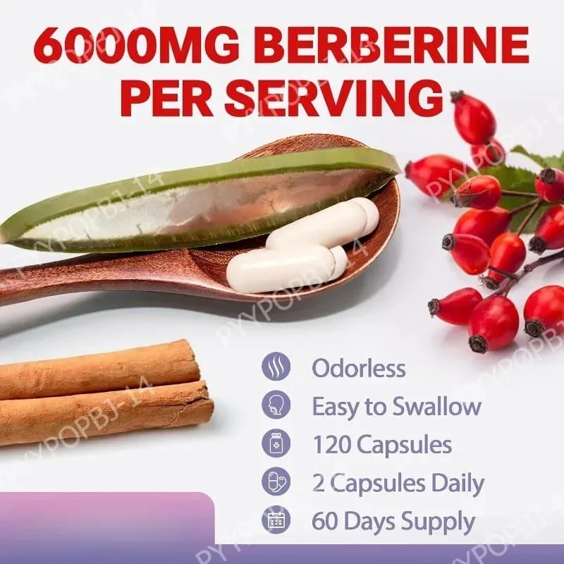 Suplemento de berberina 27 em 1 com cardo de leite de canela de Ceilão para imunidade de saúde intestinal de fígado para homens e mulheres 120 cápsulas veganas — image 3