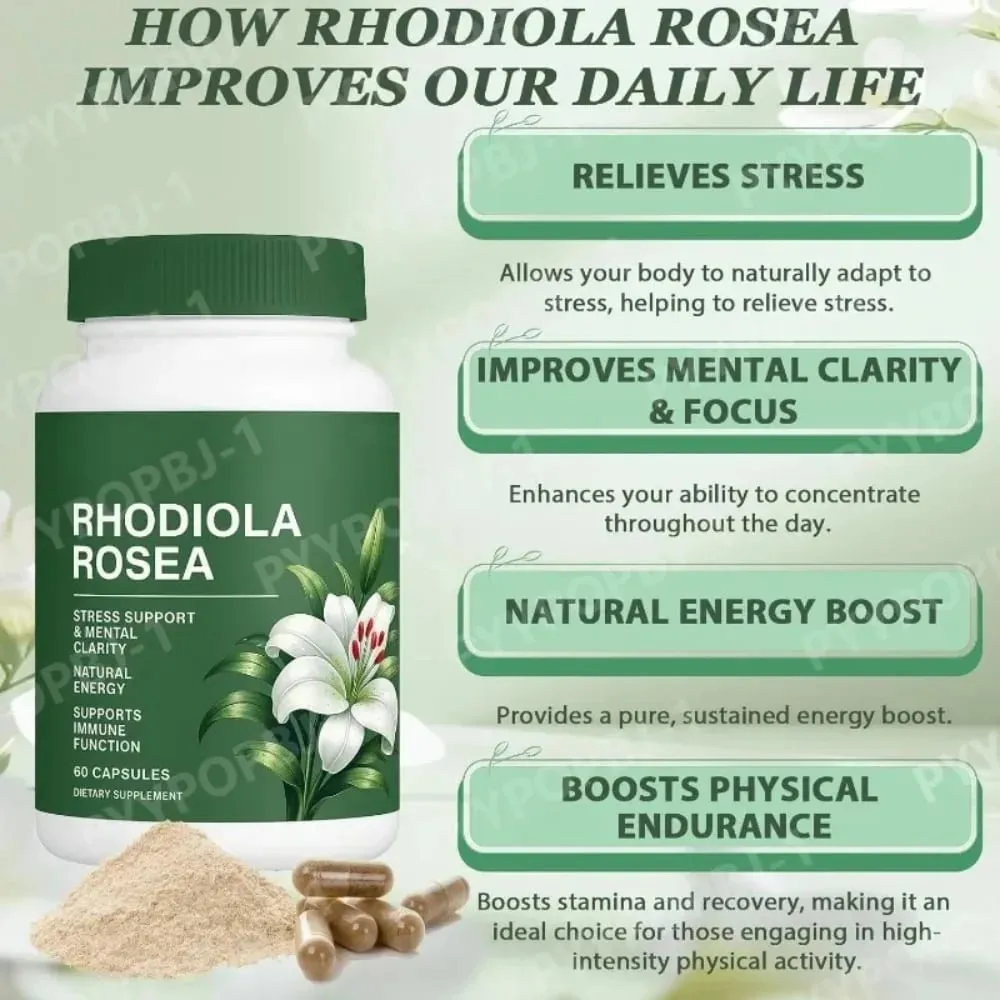 Rhodiola Rosea Capsules 500mg Herbal Supplement for Daily Energy Balance Mental Focus Adaptogen Plant Extract 60 Capsules