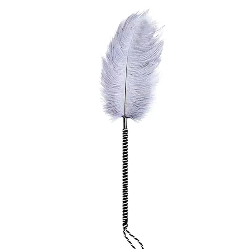 Clitoris Tickle Feather Erotic Whip Spanking Adult Sex Toys For Women Product Teasering Nipple Erotic Accessory▪