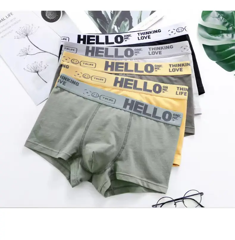 5pcs Men's Underwear, Breathable Comfy Quick Drying Stretchy Boxer Trunks, Sexy Underpants, Men's Trendy Boxer Panties