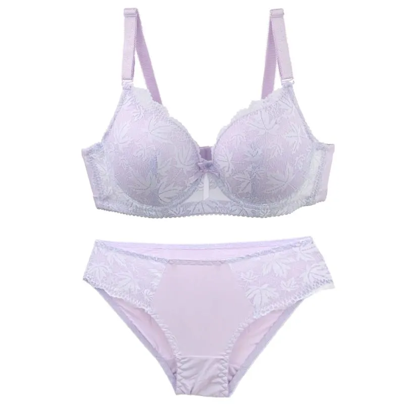 DaiNaFang 2026 New Sexy Female Lingerie ABC Cup Push Up Bras Set Breathable Women Bow Floral Underwear Panties Briefs