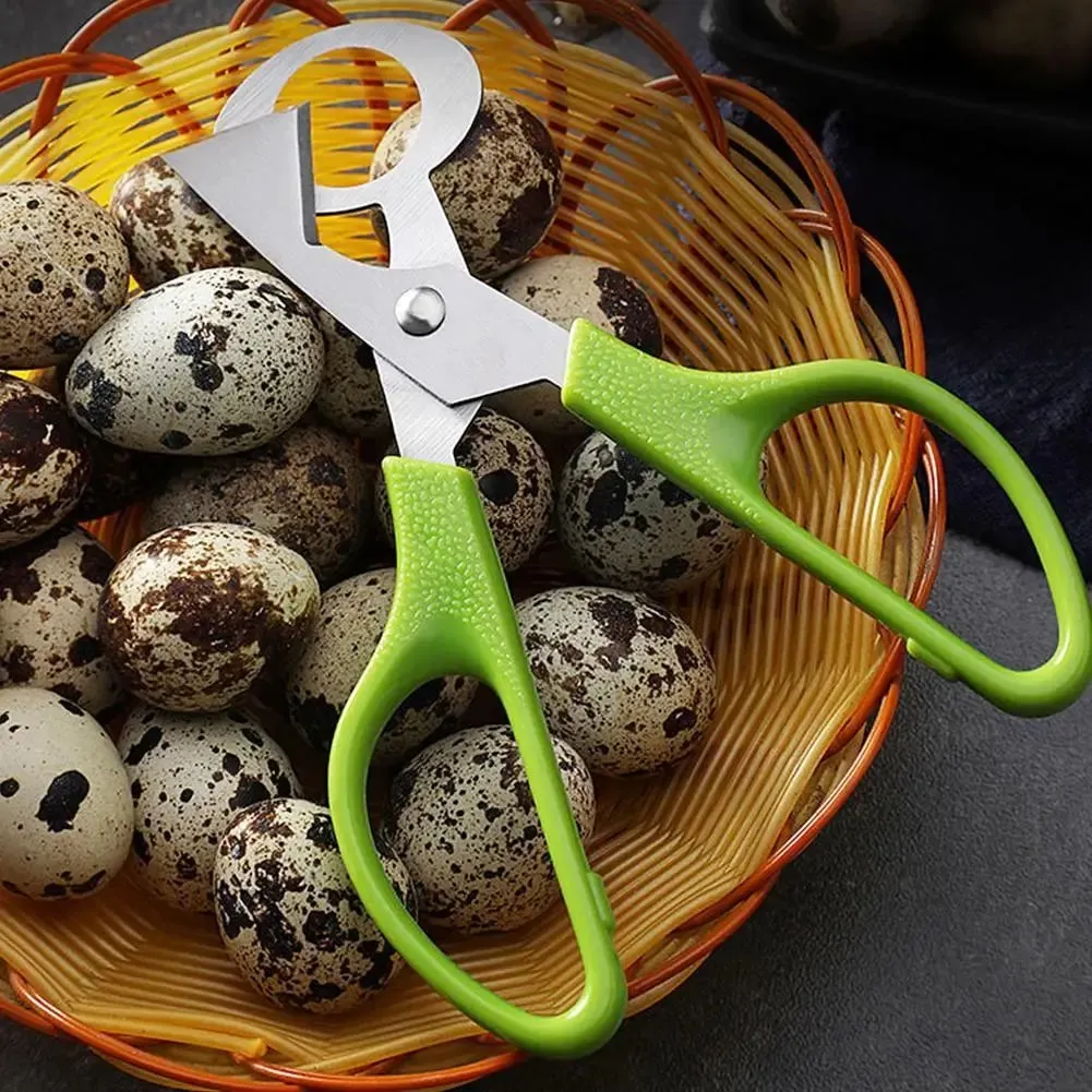 1-20PCS Stainless Steel Quail Egg Scissors Egg Shell Cutter Opener - High Quality Steel Blades Brand New Durable Egg Slicer Tool