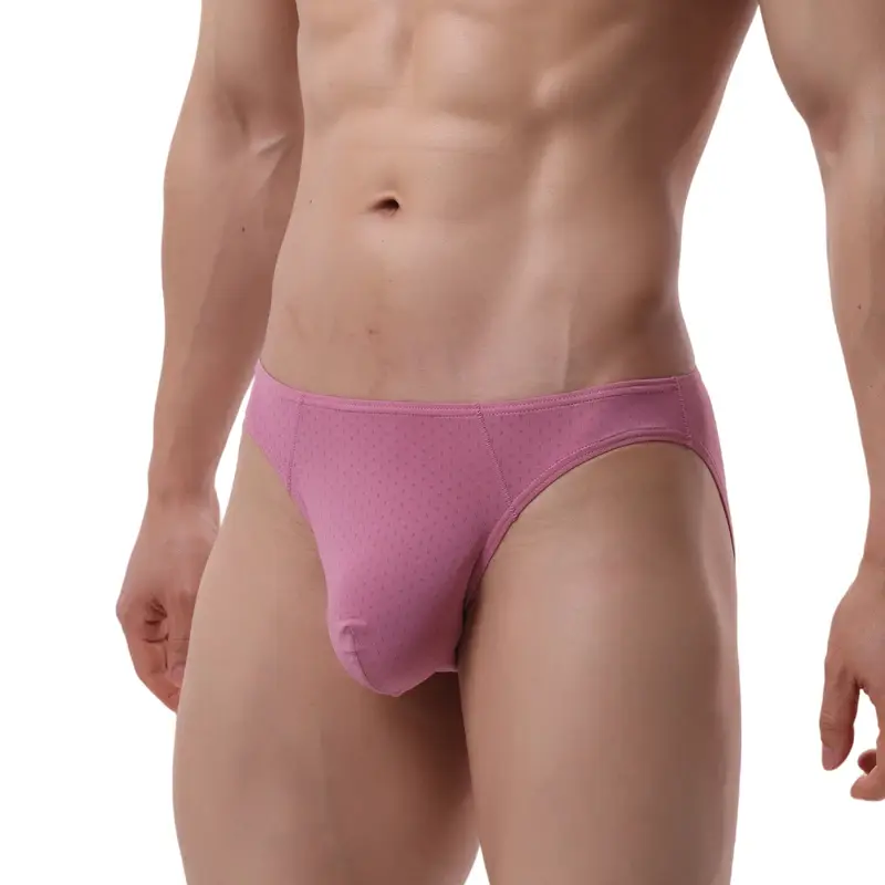 Quick Dry Briefs for Men Sexy Underwear Big U Pouch Mens Briefs Underpants Mesh Breathable Ropa Interior Hombre Slips Cuecas