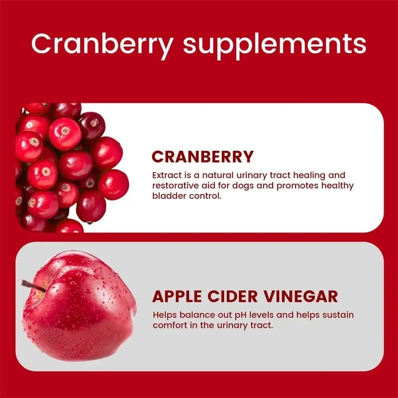 Cranberry for Dogs - Urinary Tract Health Bladder Support Dog UTI Bladder Stones Incontinence Support