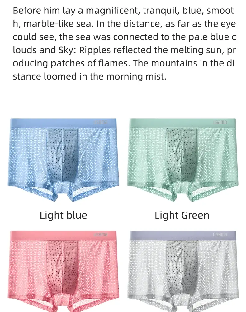 5pcs Men's Boxer Shorts Ice Silk Underwear Plus Size Underpants Cool Breathable Sexy Slim Panties Mesh Lingerie Wholesale Lots