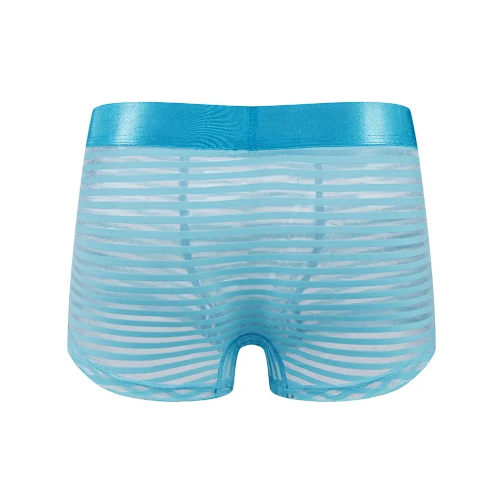 Sexy Men Underwear Boxer Shorts Transparent Mesh Underpants Trunks Men Panties Low Waist Nylon Breathable Quick Drying