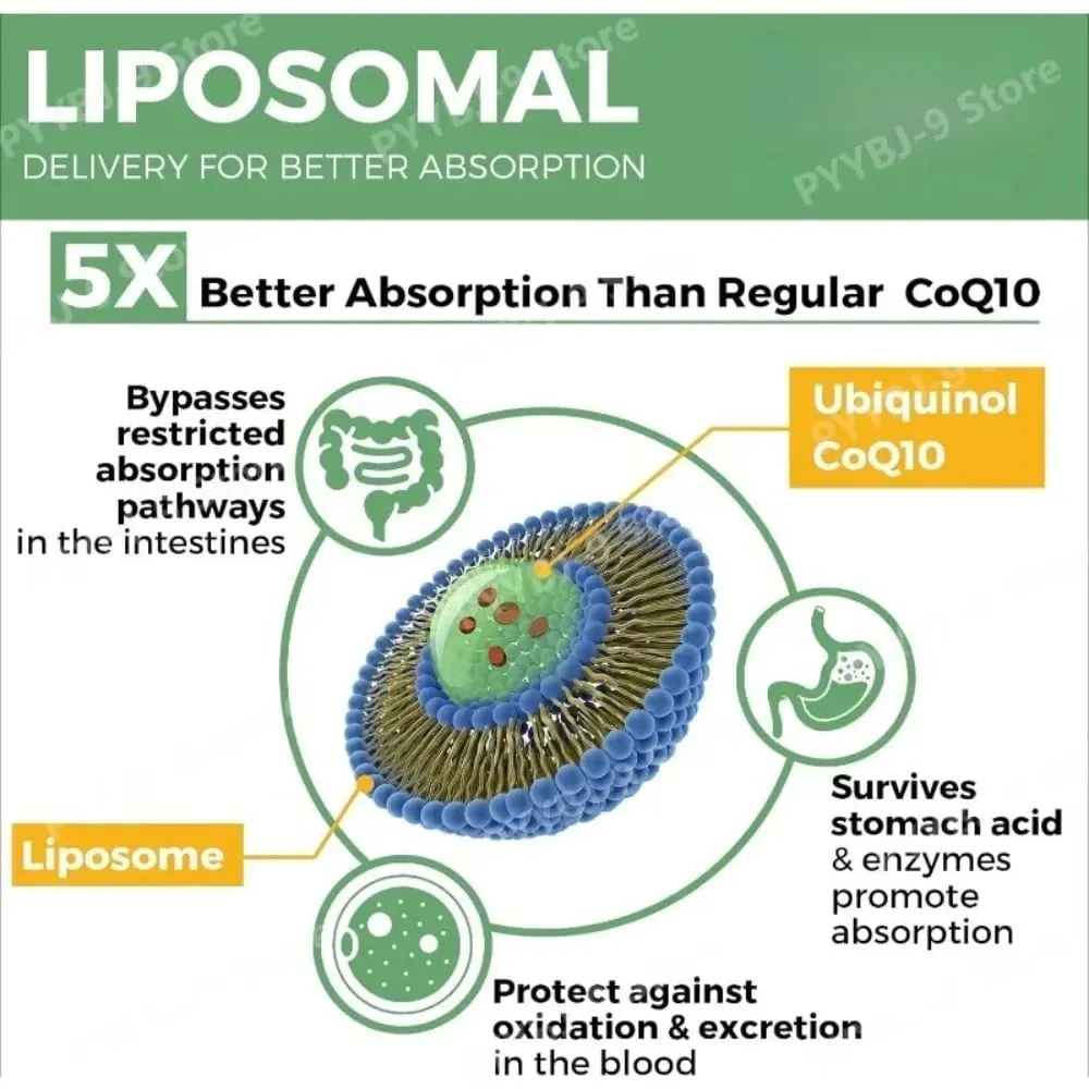 CoQ10 Ubiquinol 1000 mg vegane Kapseln 60 CT liposomales hochabsorbierendes Coenzym Q10 für die tägliche Unterstützung der Herzenergie und Antioxidantien