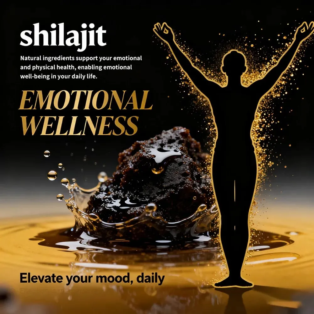 Suplemento Shilajit con musgo marino Ashwagandha magnesio y zinc - 19 en 1 cápsulas orgánicas mineral natural vegano sin OGM