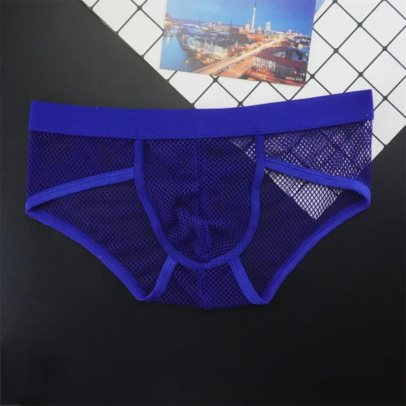 Plus Size Mesh Underwear Men Transparent Large Fishnet U Pouch Briefs Male Low Waist Solid Color Sexy Perspective Male Panties