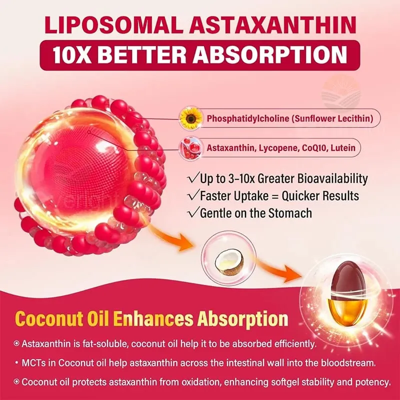 Liposomal Astaxanthin อาหารเสริม Lycopene CoQ10 Lutein วิตามิน B6 E สังกะสีสารต้านอนุมูลอิสระเพื่อสุขภาพผิวดวงตา Aging