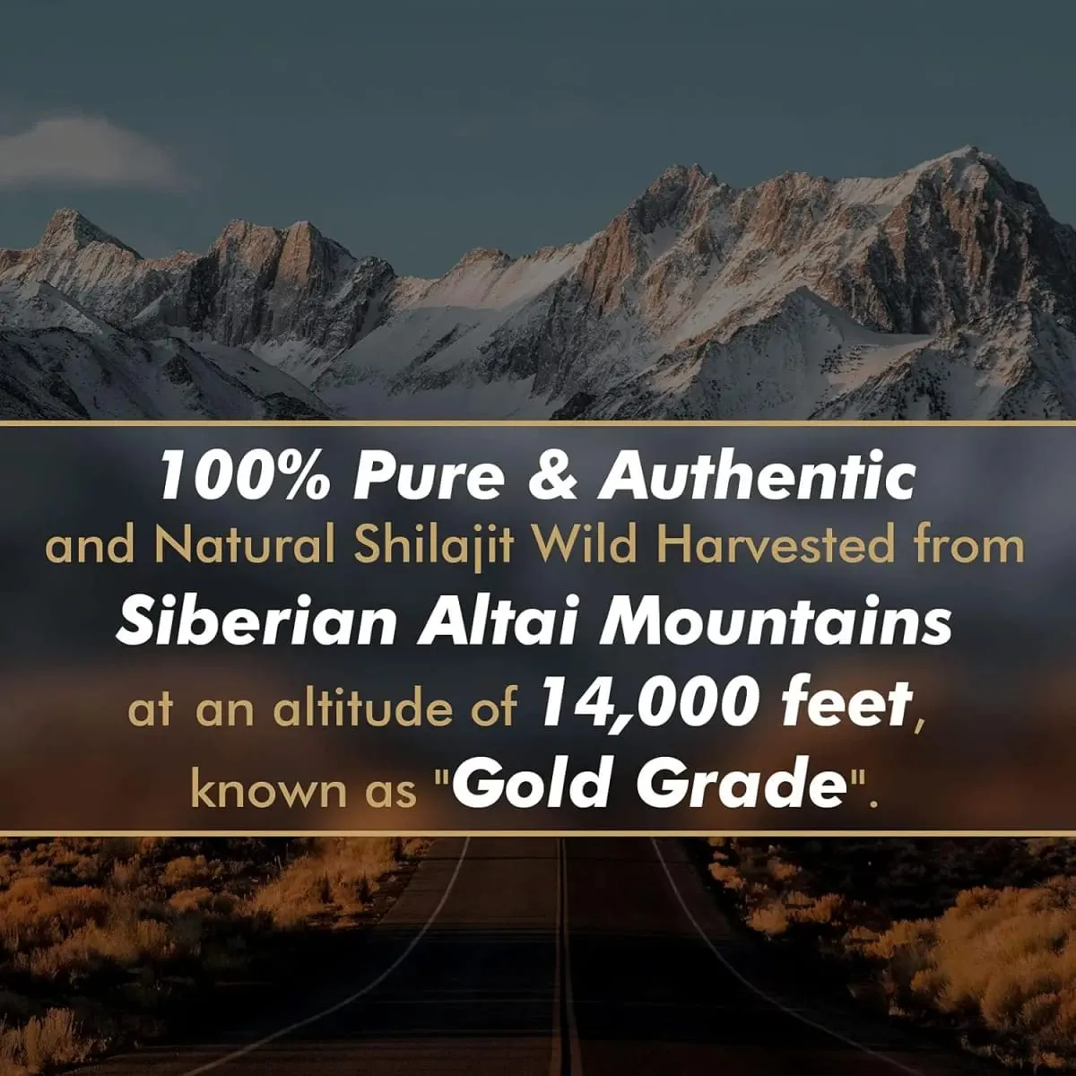 Original Siberian Pure Shilajit with Fulvic Acid & Trace Minerals & 85+ Humic Acid Supplement Gel for Energy & Immune System