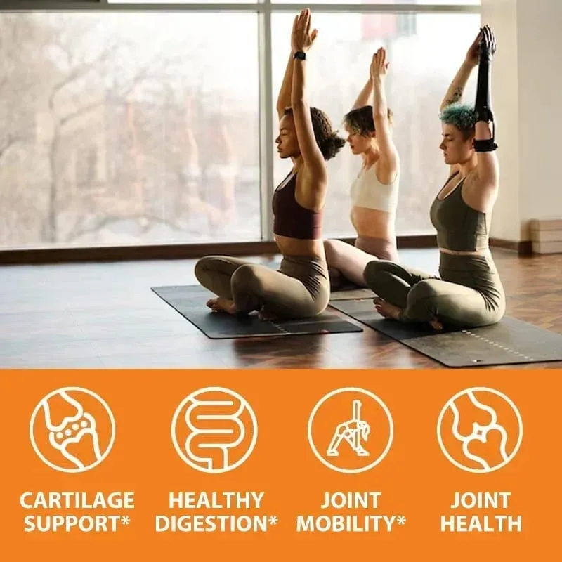 Glucosamine Chondroitin MSM with OptiMSM - Helps Maintain Healthy Joint Function and Mobility Protecting Cartilage Tissue
