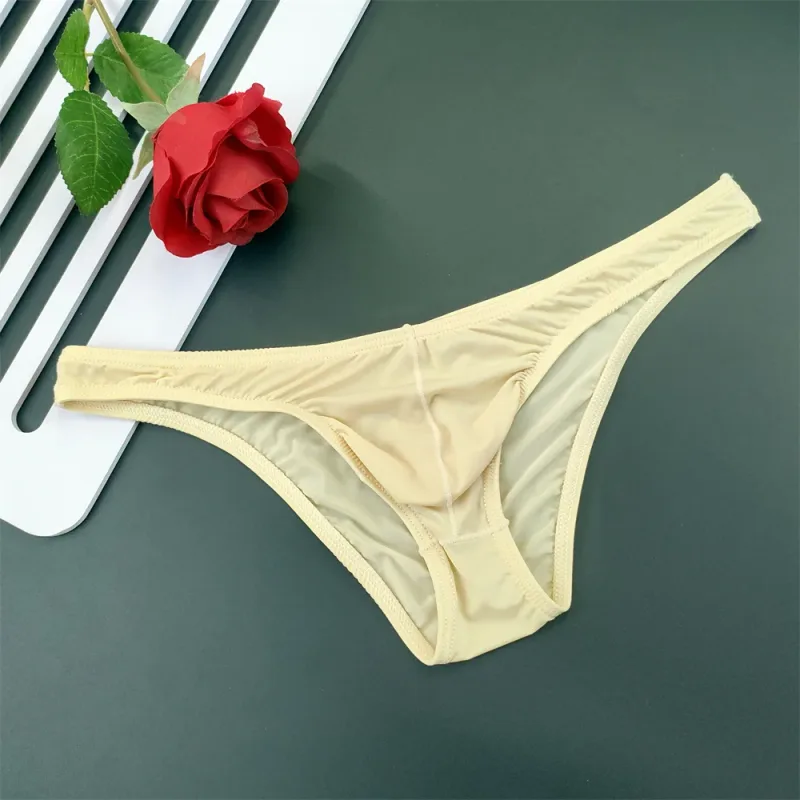 5Pcs New Youth Men's Ice Silk Brief U Pouch Underwear Low Waist Ultra Thin Transparent Underpants Sexy Plus Size Male Panties
