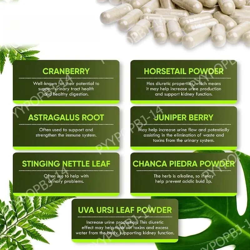 Kidney Support Supplement for Kidney Restore with Chanca Piedra Cranberry Juniper Berries for Detox and Bladder Health 60 Count