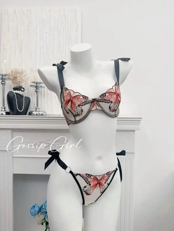 Butterfly Embroidery French Lace Bra Sheer Net Elastic Straps No Padding Romantic Womens Lingerie Set S-XL Soft Comfy