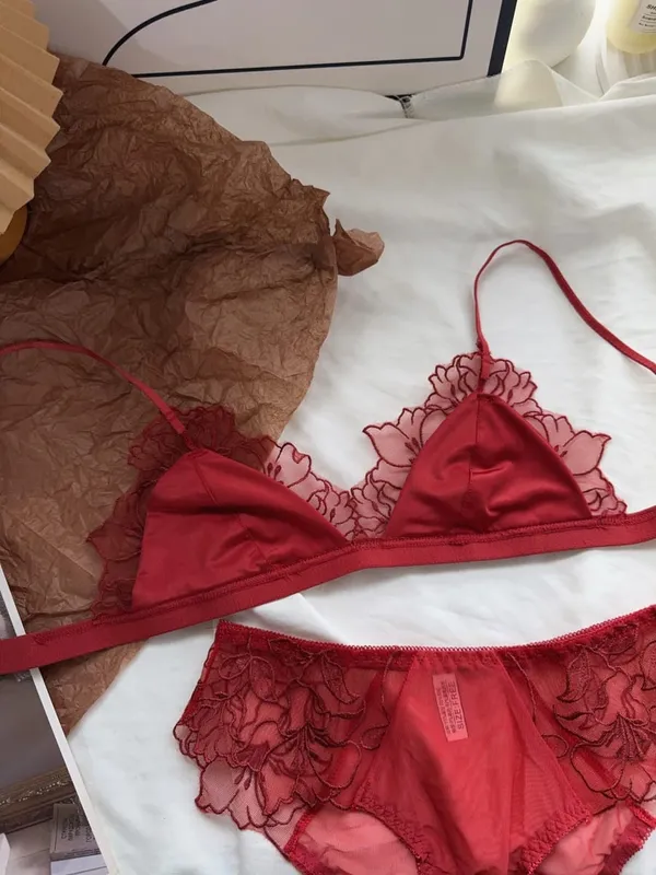 Women Lingerie Set French Luxury Lace Push Up No Wire Bra and Panty Set Breathable Ultra Thin Comfort Gather Underwear Clothing