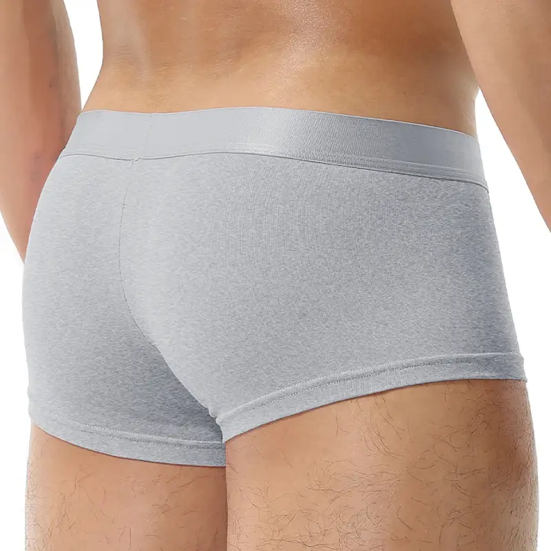 1Pcs Open Front Underwear Men Ice Silk Sexy Men's Boxer Shorts Panties Breathable Pouch Bulge Underpants Male