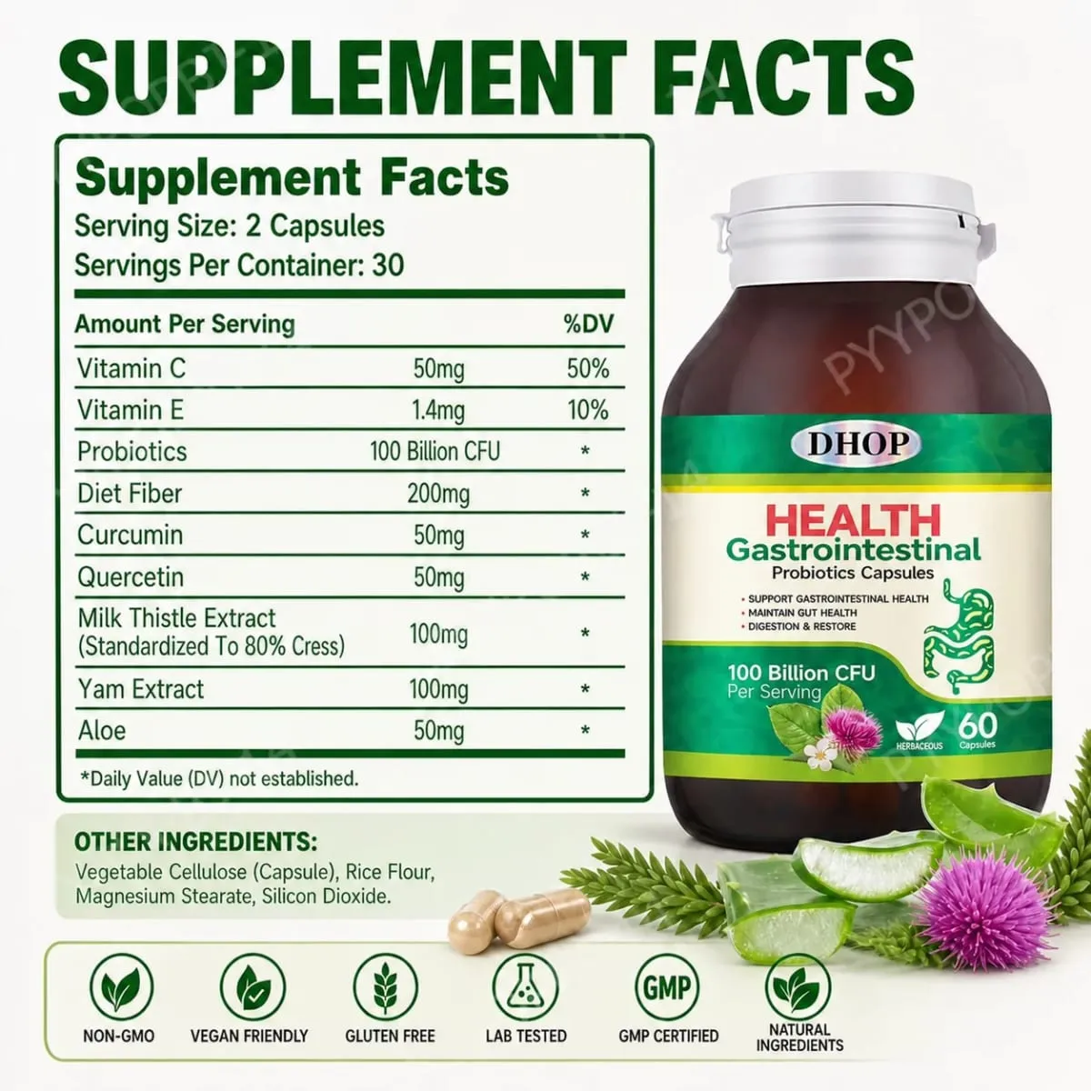 Gastrointestinal Probiotics Capsules Support Gut Health with Vitamin C and Vitamin E Diet Fiber 100 Billion CFU 60 Capsules