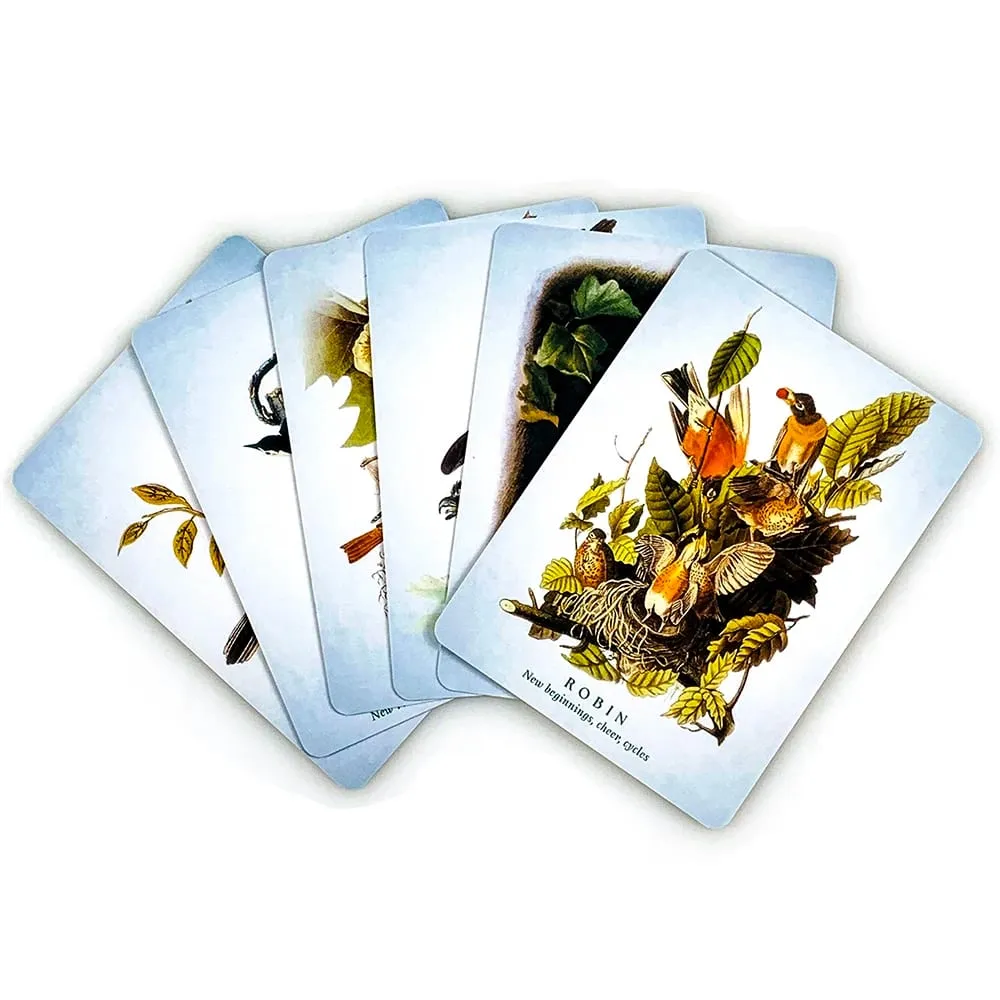 New The Spiritual Meaning Of Oracle Cards 10.2*7.4CM 50pcs Cards Discover The Wisdom & Insigt Of These Divine Winged Messengers