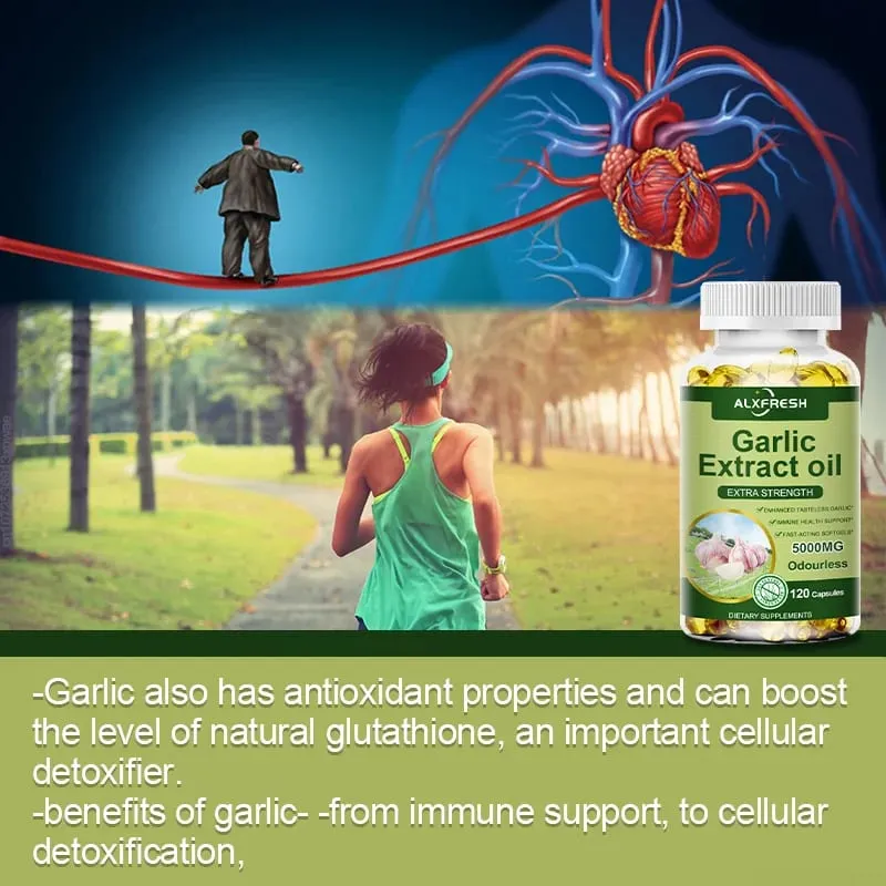 Garlic Extracts Capsules for Cardiovascular Health Improve Antioxidant Anti-inflammatory and Digestive System Enhance Immunity