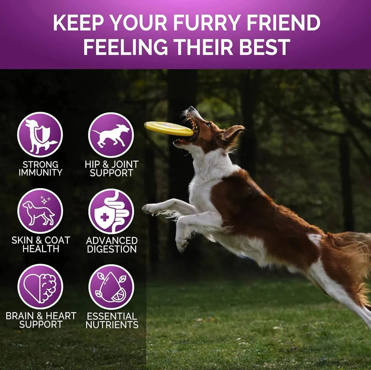 Suplemento multivitamínico para cães idosos e filhotes, multivitaminas, sabor de frango, mastiga para animais de estimação, imunidade conjunta, mobilidade, energia, pele intestinal