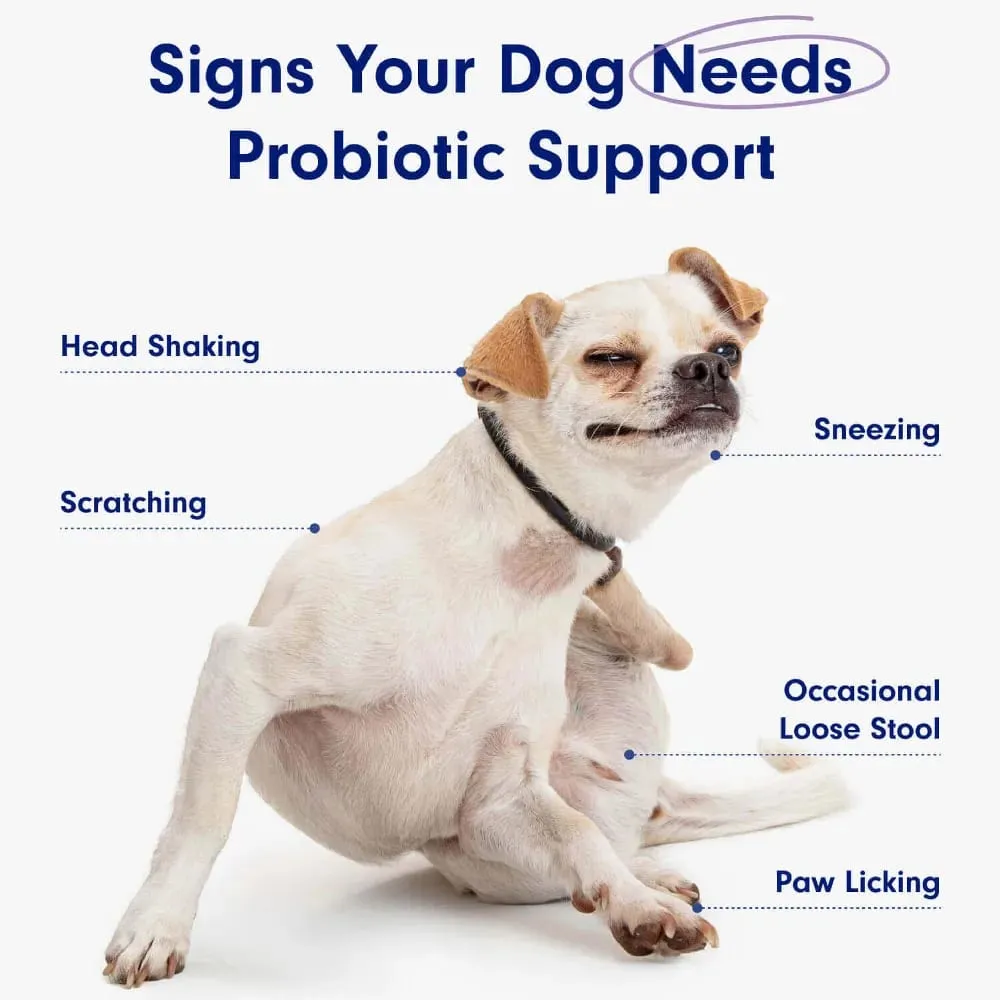 Probiotics Chews for Dogs Support Gut Health Occasional Diarrhea Digestive Health & Seasonal Allergies - 30 Soft Chews