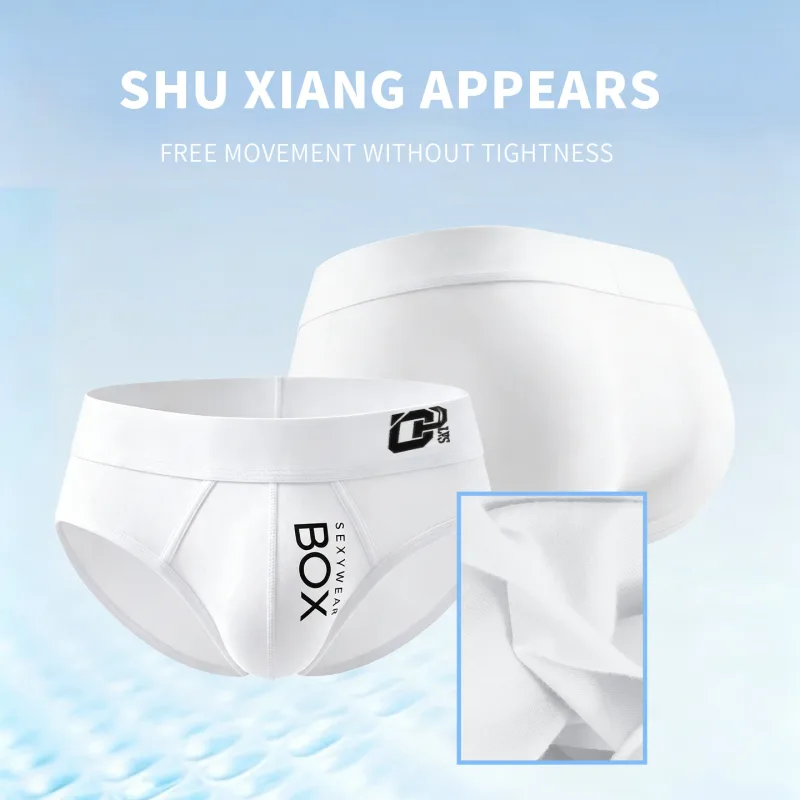 1/2Pcs High Quality Low Waist Sexy Mens Underwear Briefs Letter Print Men's Lingerie Cotton Men's Briefs Bikini Man Underpants