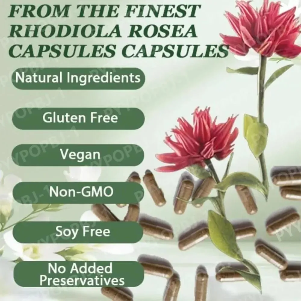 Rhodiola Rosea Capsules 500mg Herbal Supplement for Daily Energy Balance Mental Focus Adaptogen Plant Extract 60 Capsules